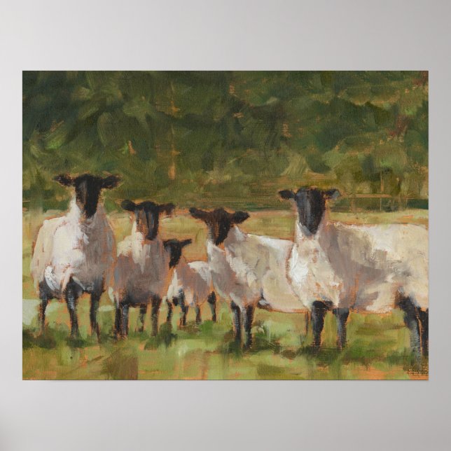 Póster Familia de ovejas (Frente)