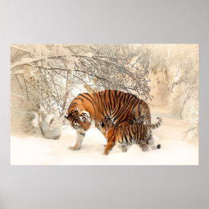 Póster Familia de tigres en invierno