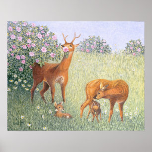 Póster Familia Deer