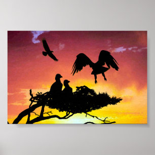 Póster Familia Eagle