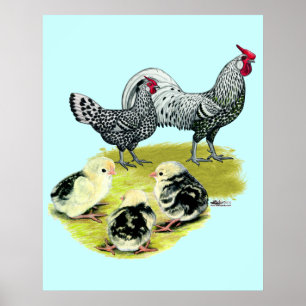 Póster Familia española de Hamburgo