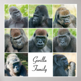 Póster Familia Gorilla