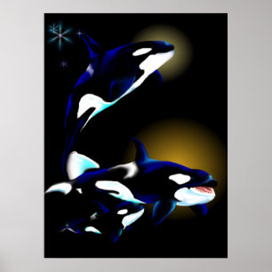 Póster Familia Orca