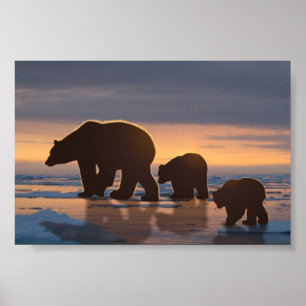 Póster Familia Oso Polar