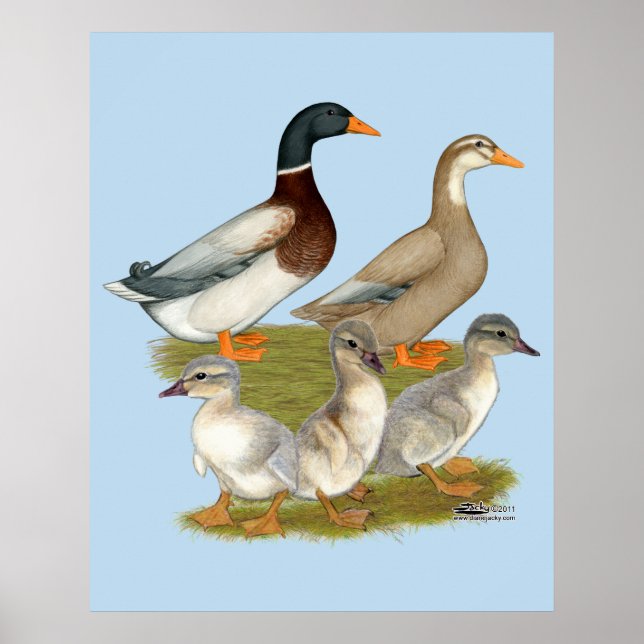 Póster Familia Sajonia Duck (Frente)