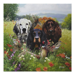 Póster Familia Setters
