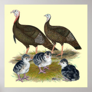 Póster Familia silvestre oriental de los pavos