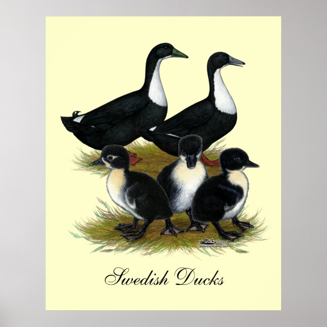 Póster Familia Sueca de Duck (Frente)