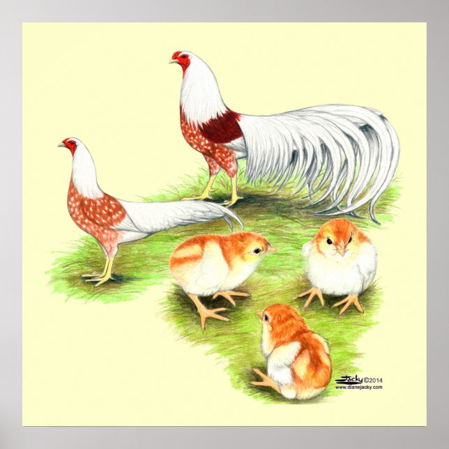 Póster Familia Yokohama Red Shoulder (Frente)