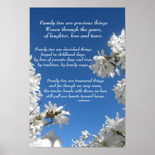 Póster Family Ties Magnolia Poster