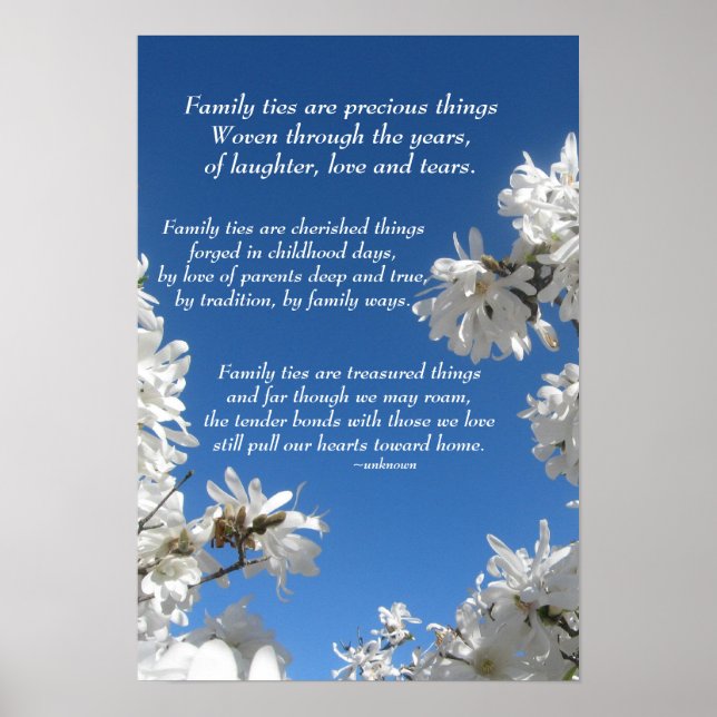 Póster Family Ties Magnolia Poster (Frente)