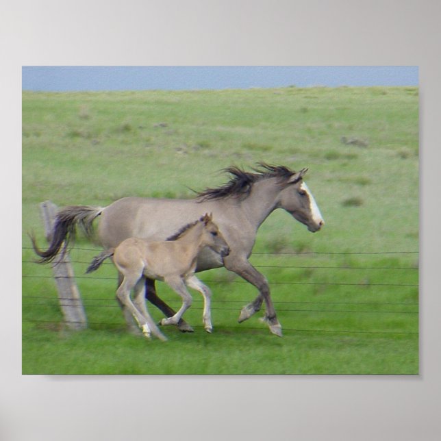 Póster FamilyRun (Frente)