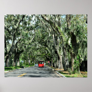 Póster Famosa Magnolia Ave St. Augustine, Florida