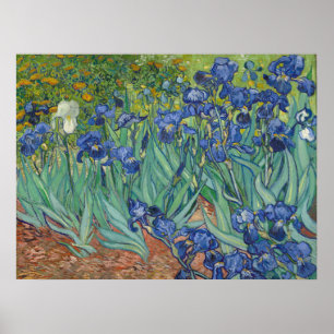 Póster Famoso cuadro de lirios azules al óleo de Van Gogh