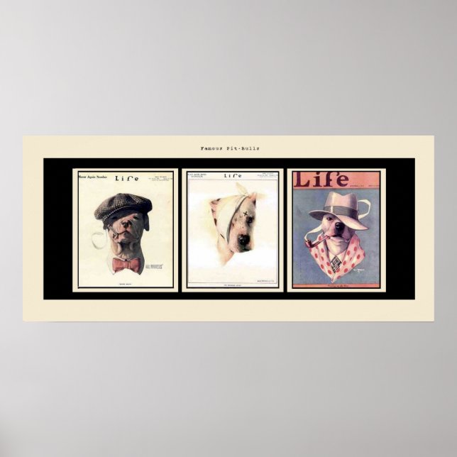 Póster Famosos Toros de foso (Frente)