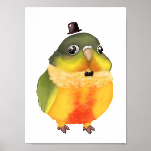 Póster Fanciful Conure Print