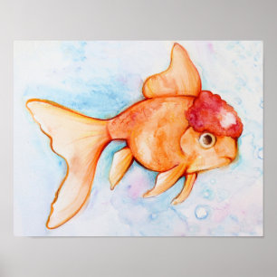 Póster Fancy Oranda Goldfish