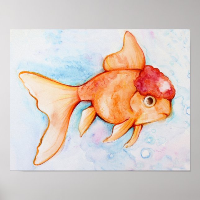 Póster Fancy Oranda Goldfish (Frente)