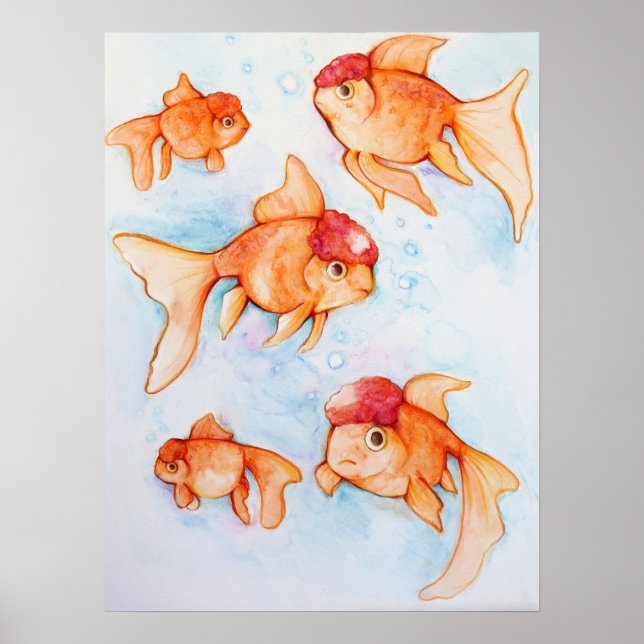 Póster Fancy Oranda Goldfish (Frente)