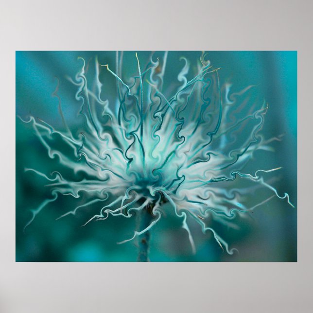 Póster Fancy Seed Head (Frente)