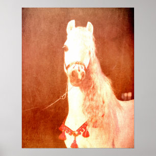 Póster Fancy White Circus Pony Estilo Gitano Vintage