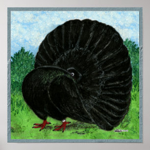 Póster Fantail: Negro
