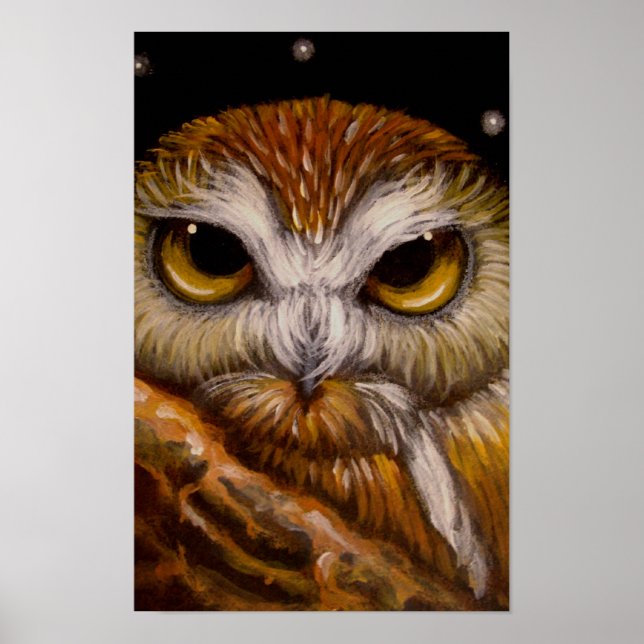 Póster FANTASE SAW-WHET OWL Poster (Frente)