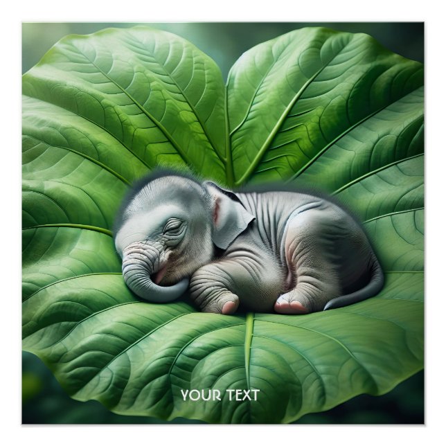 Póster Fantasía Cute Baby Elephant Leaf (Anverso)