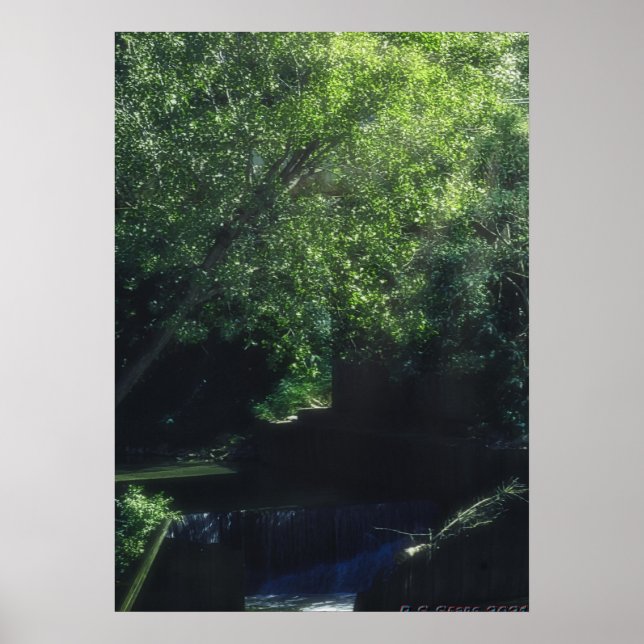 Póster fantasía de millington (Frente)