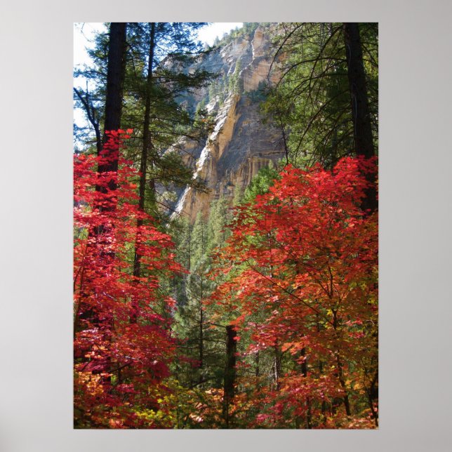 Póster Fantasía de otoño (15) Poster (Frente)