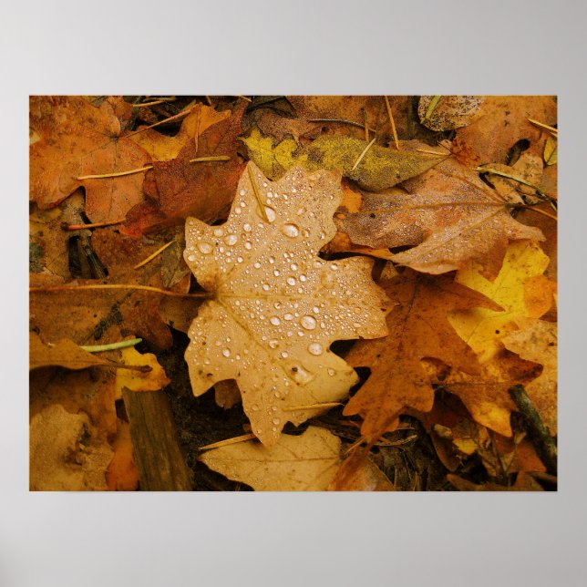 Póster Fantasía de otoño (30) Poster (Frente)