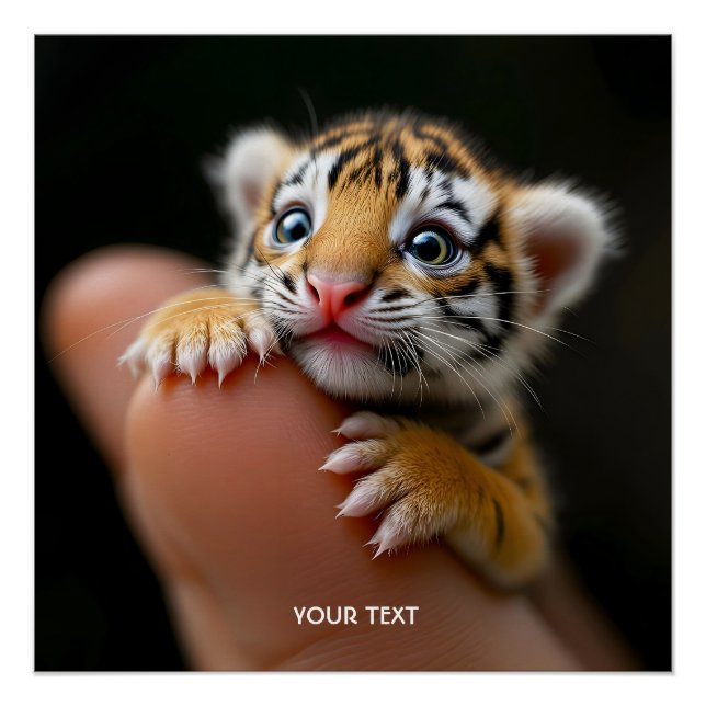Póster Fantasía Dedo Bebé Tigre (Anverso)