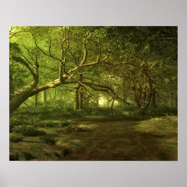 Póster Fantasía forestal (Frente)