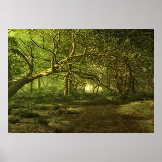 Póster Fantasía forestal (Frente)