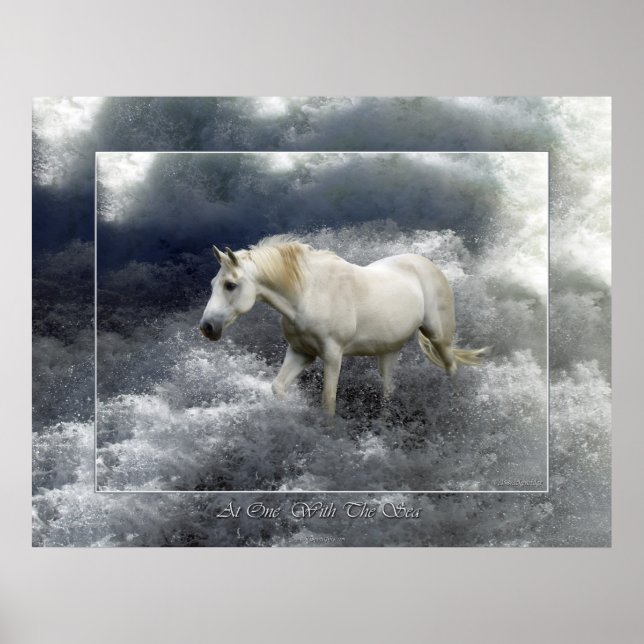 Póster Fantasía Poster de Caballo Blanco y Surf Océano (Frente)