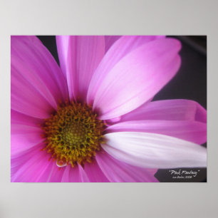 Póster Fantasía rosa - Poster