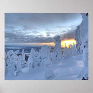 Póster Fantasmas de nieve al atardecer en Whitefish Mount