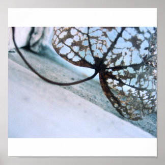 Póster fantasmas de primavera