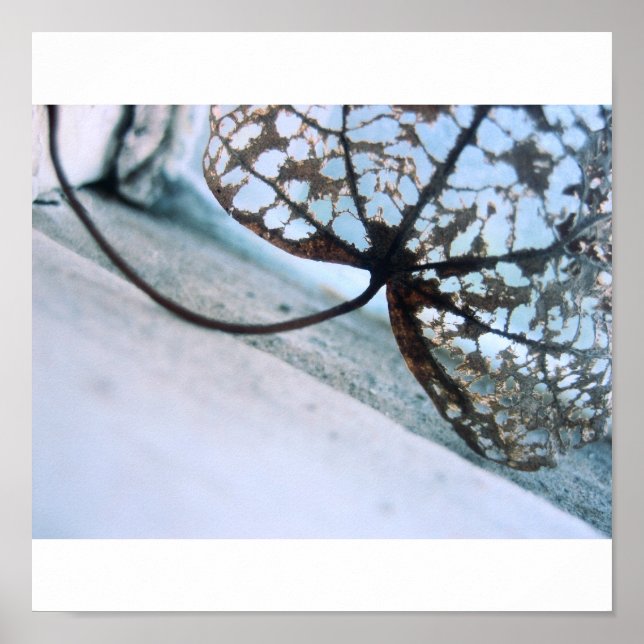 Póster fantasmas de primavera (Frente)