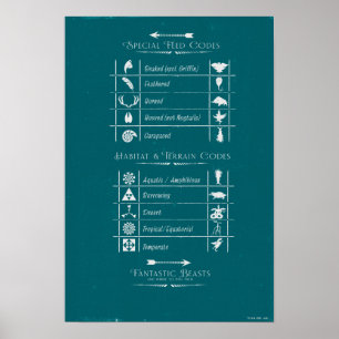 Póster FANTÁSTICAS BEASIS Y DÓNDE ENCONTRARLAS™Gráfico de