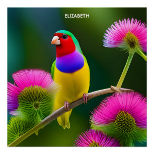 Póster Fantasy Colorful Gouldian Finch