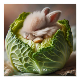 Póster Fantasy Cute Baby Bunny Cabbage