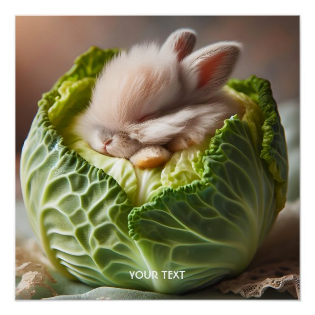 Póster Fantasy Cute Baby Bunny Cabbage (Anverso)