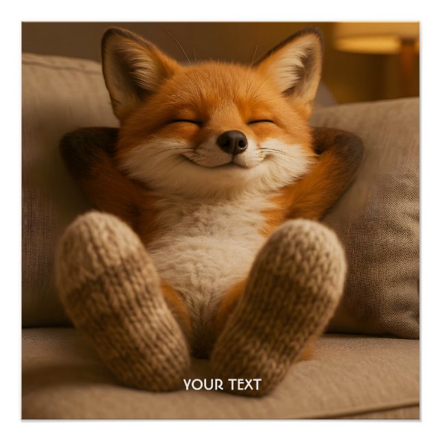 Póster Fantasy Cute Fox And Socks (Anverso)