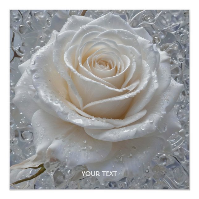 Póster Fantasy Cute White Rose Drots (Anverso)