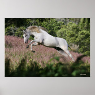 Póster Fantasy Horses: Spring Gallop
