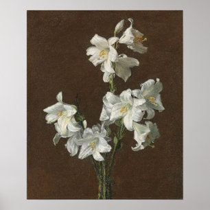Póster Fantin-Latour - Lilies blancos