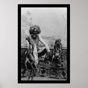 Póster Faquir indio con dos Monkies en la India 1890