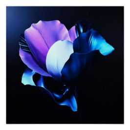 Póster Farbig Strahlende Blüten in Dunkelheit