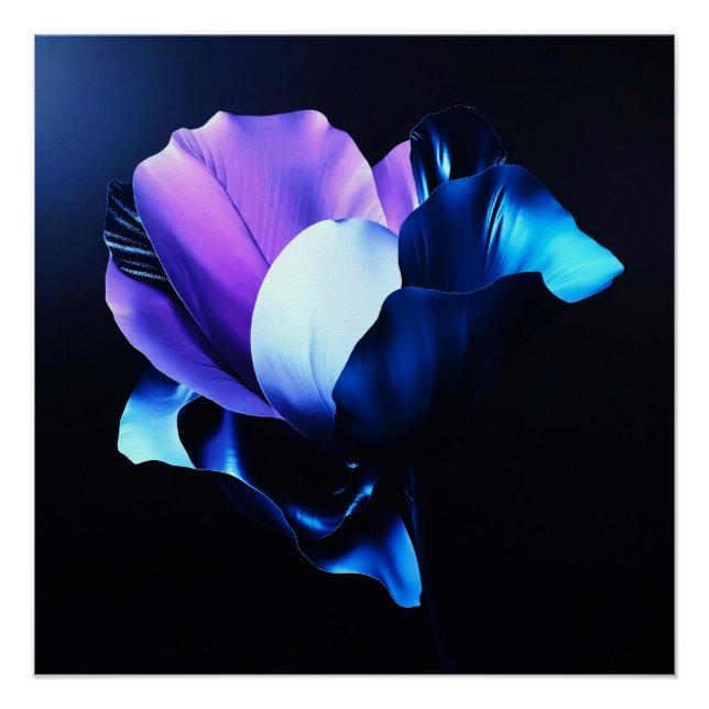 Póster Farbig Strahlende Blüten in Dunkelheit (Anverso)